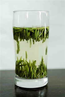 喝綠茶會(huì)胖嗎？解構(gòu)綠茶與體重的關(guān)系